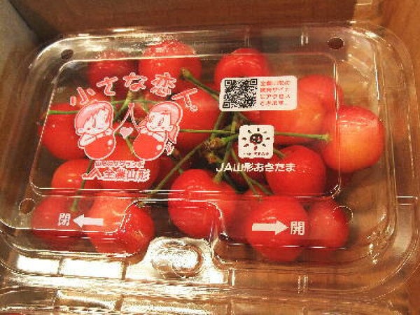 【奈良県内発】 丹波フルーツツフラワーフェスティバル! さくらんぼ&メロン2種食べ放題と初夏の3つの花景色 日帰り3